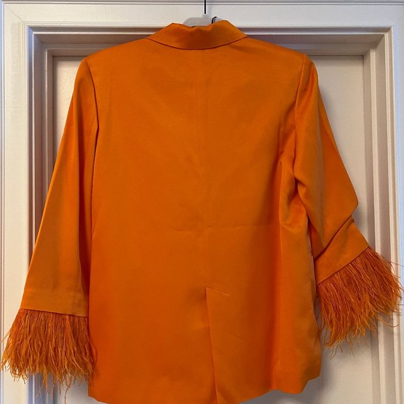 Zara BRAND NEW feather blazer - limited edition - Picture 7 of 7